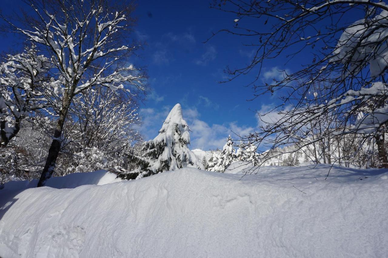 Haus Sonnenblick Hotel Bayrischzell Bagian luar foto